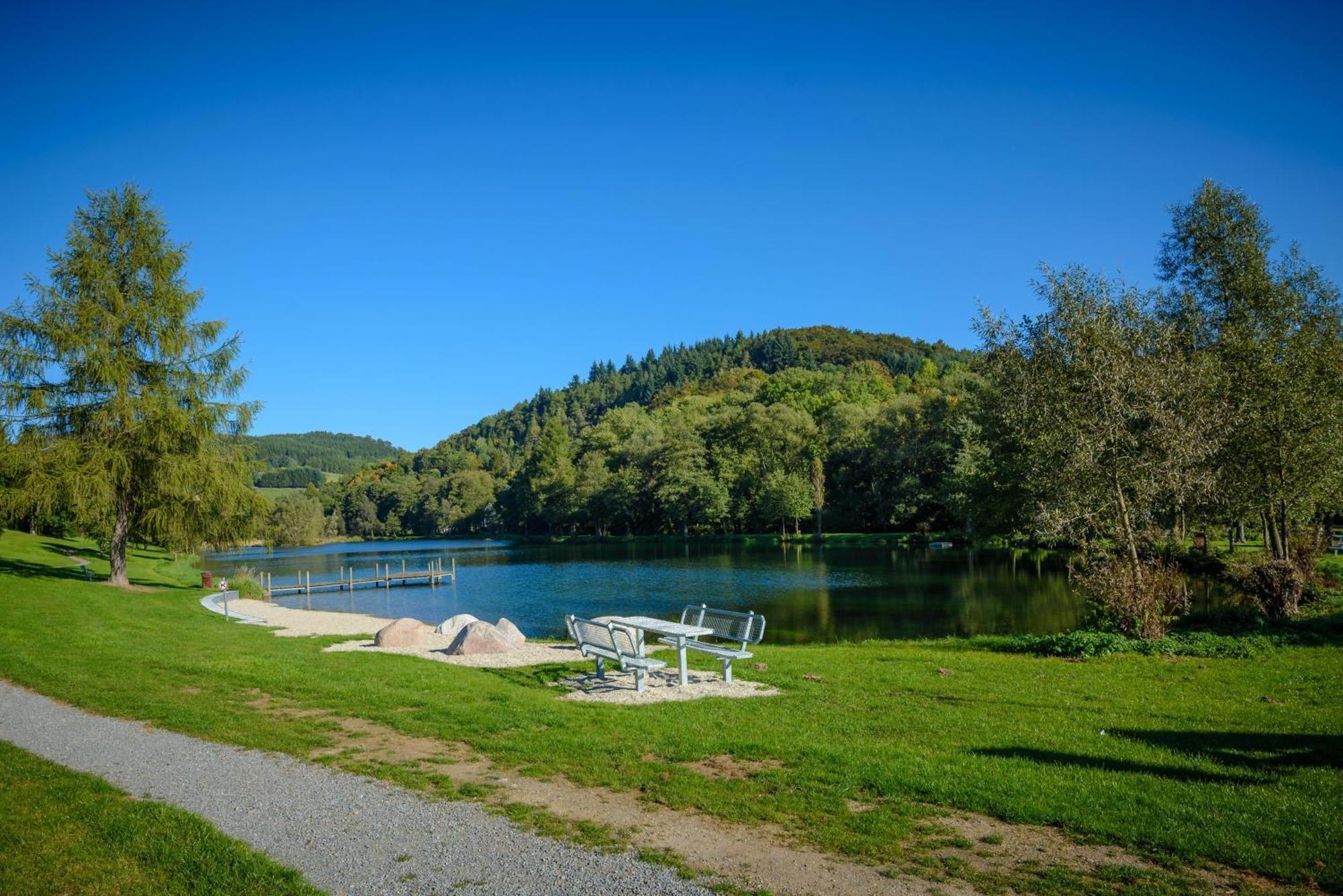 Gluehalm Willingen Villa Willingen  Exterior photo